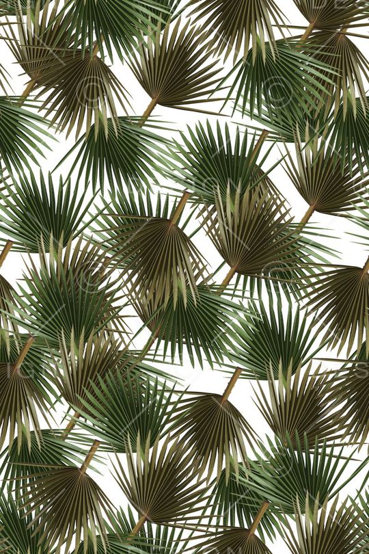 棕榈叶印花华亿平台图片