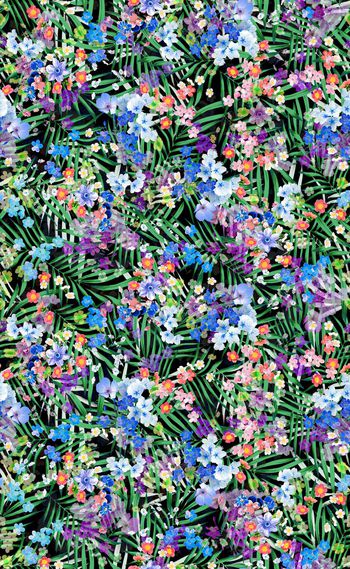 593462-热带清新水彩植物花卉--2