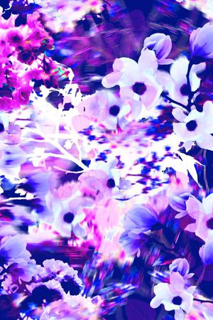 女装印花华亿平台图片