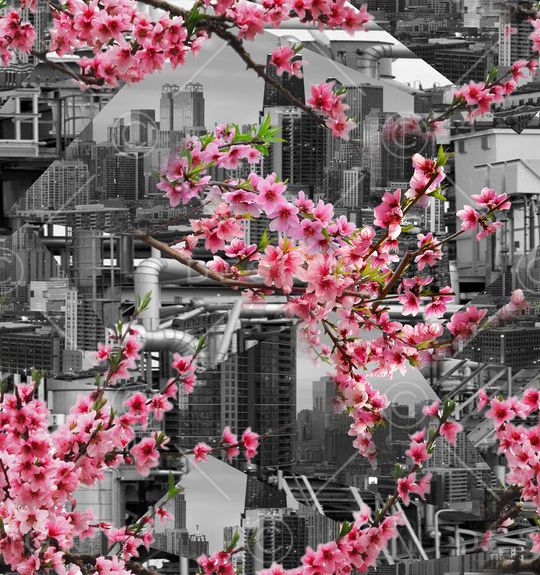 桃花印花华亿平台图片