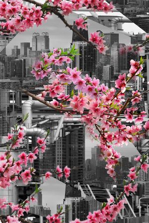 桃花印花华亿平台图片