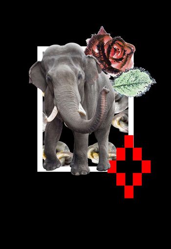 蜜蜂印花华亿平台图片