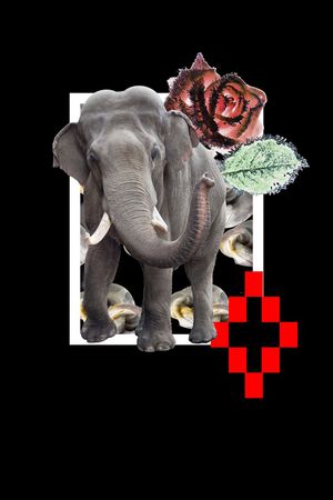 蜜蜂印花华亿平台图片