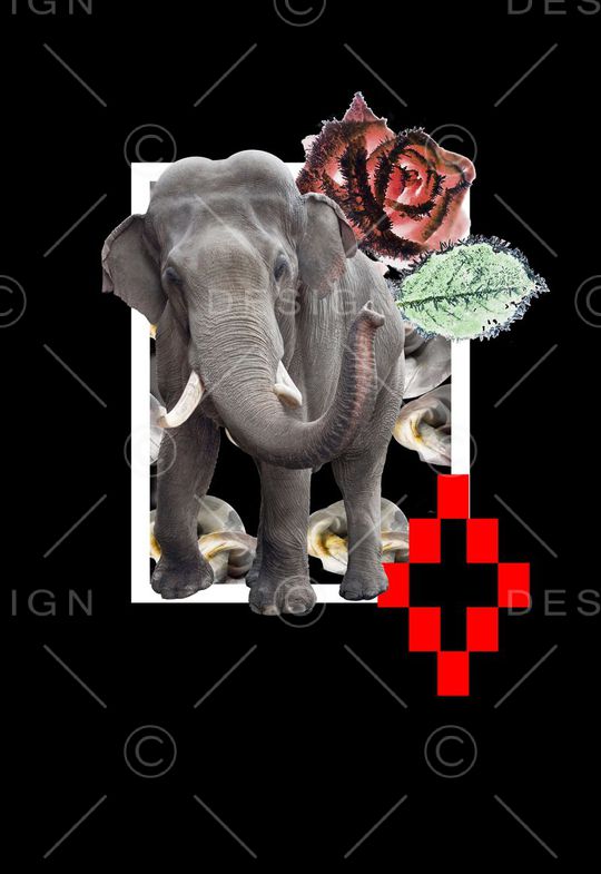 蜜蜂印花华亿平台图片