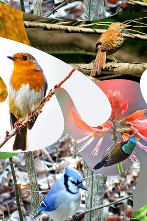 坯布印花华亿平台图片