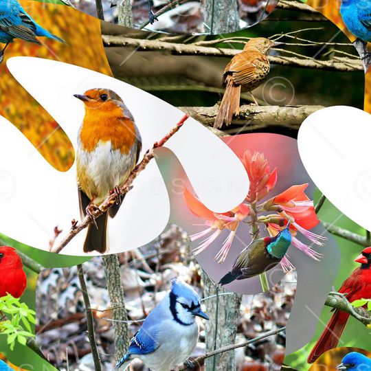 坯布印花华亿平台图片