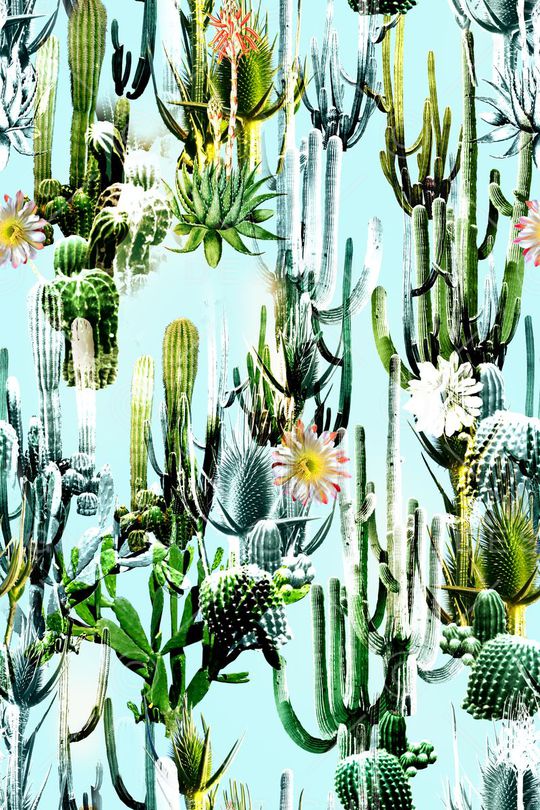 热带印花华亿平台图片