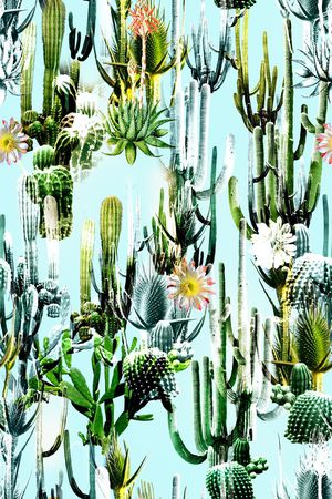 热带印花华亿平台图片