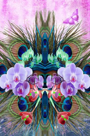 蝴蝶兰、热带植物、孔雀毛印花华亿平台图片