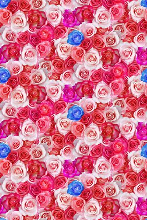 绚丽花卉印花华亿平台图片