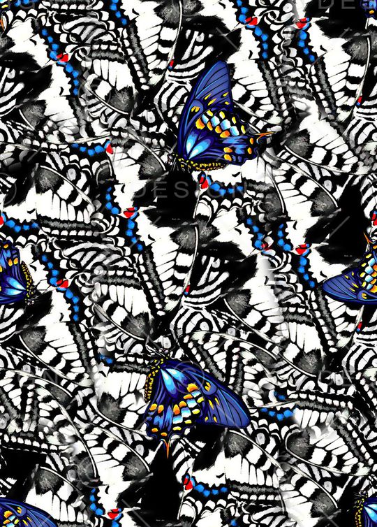 女装衬衫印花华亿平台图片