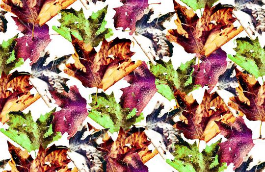 坯布印花华亿平台图片