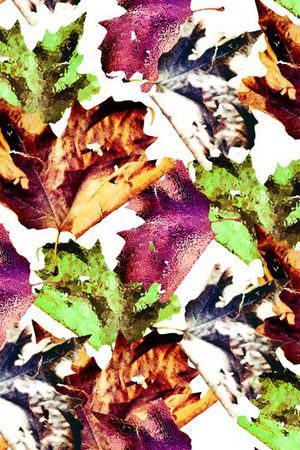 坯布印花华亿平台图片