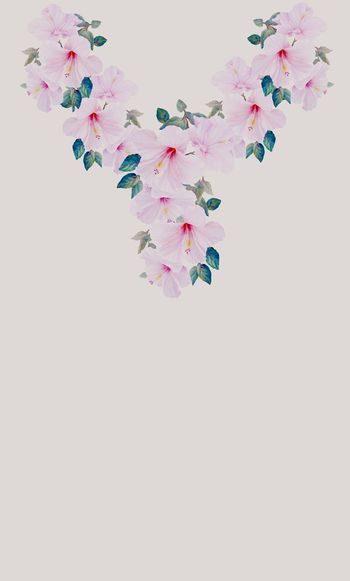 594276-定位百合花