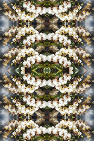 手绘印花华亿平台图片