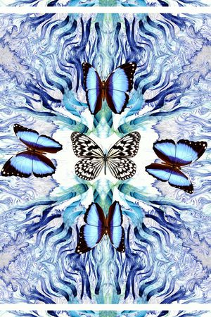 热带印花华亿平台图片