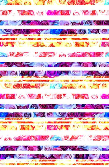 594406-条纹花朵 分割