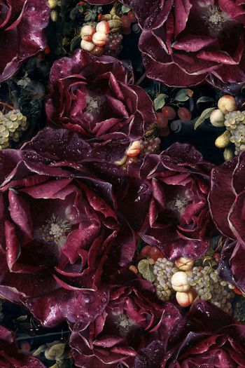 594519-玫瑰花卉宫廷手绘