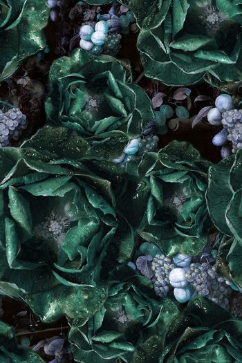 594520-玫瑰花卉宫廷手绘