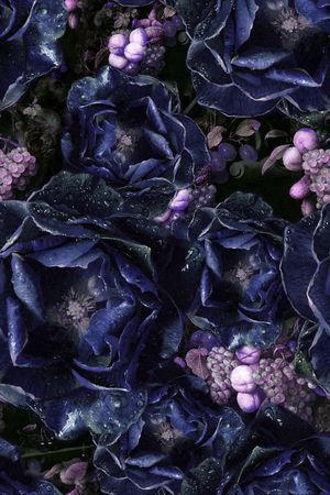 玫瑰印花华亿平台图片