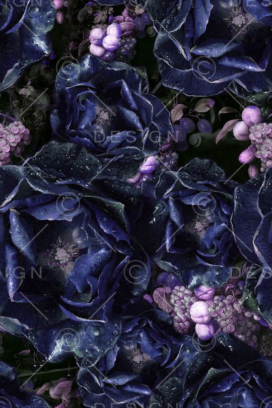 玫瑰印花华亿平台图片