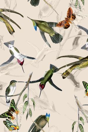 男装T恤印花华亿平台图片