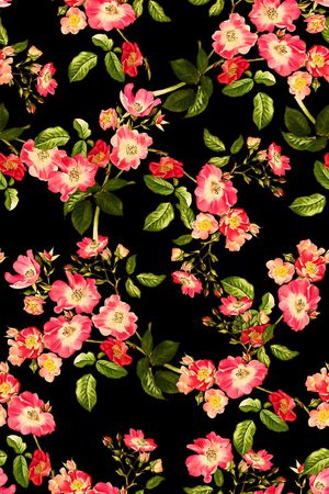 女装裙印花华亿平台图片