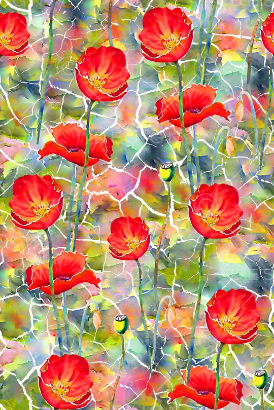 女装衬衫印花华亿平台图片