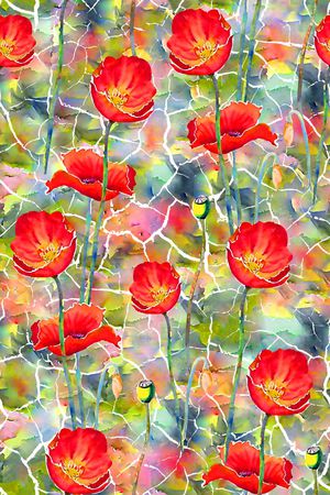 女装衬衫印花华亿平台图片