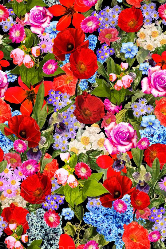 油画花卉印花华亿平台图片