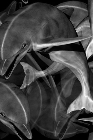 海豚印花华亿平台图片