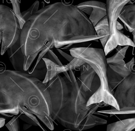 海豚印花华亿平台图片