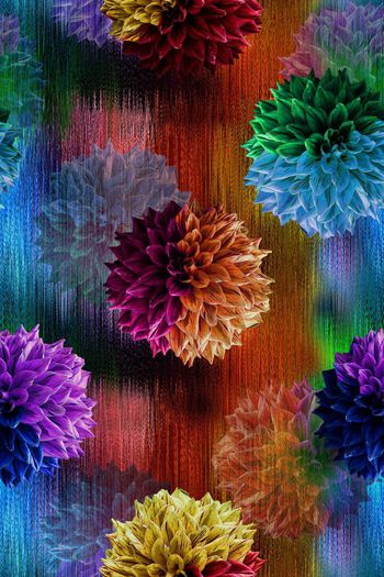 594638-彩虹光束花卉女装