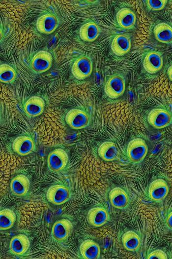 594640-孔雀羽毛女装数码