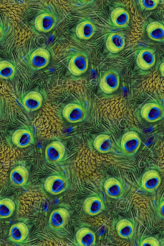 动物纹印花华亿平台图片