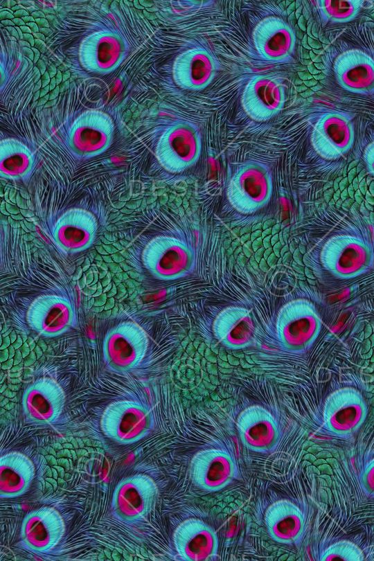 动物纹印花华亿平台图片