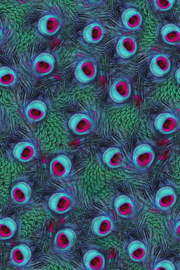 594641-孔雀羽毛女装数码