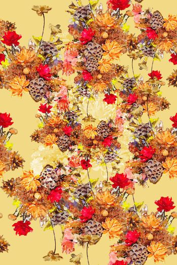 594708-2016031701野花世界(灰色