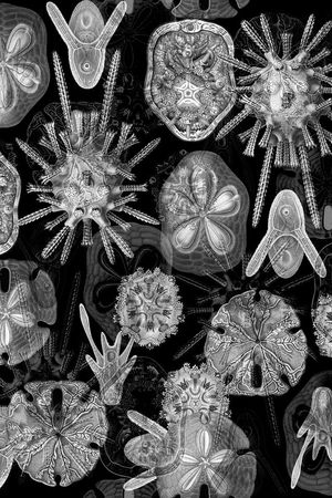 抽象男装印花华亿平台图片