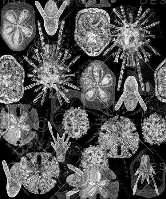 抽象男装印花华亿平台图片