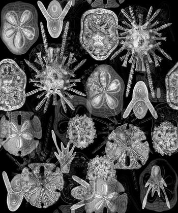 594742-复古个性细胞男装印花1