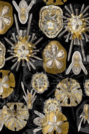 抽象男装印花华亿平台图片