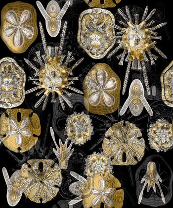 594743-复古个性细胞男装印花1