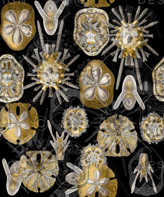 抽象男装印花华亿平台图片