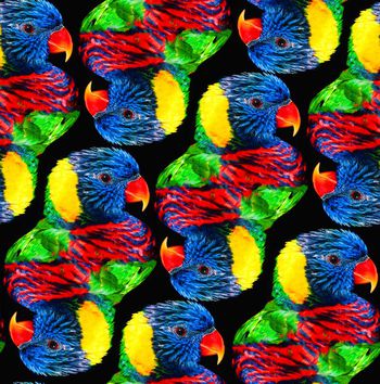 594777-原创彩色鹦鹉个性坯布