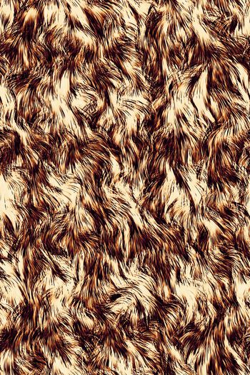 594804-豹动物毛织纹理毛