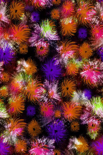 594944-抽象炫彩烟花花卉