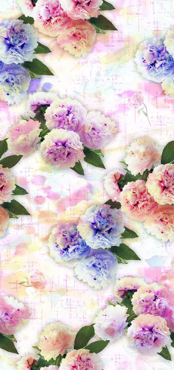 594955-水彩大花 花朵花卉牡丹