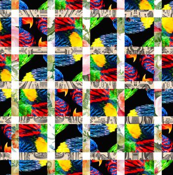 595041-原创彩色鹦鹉格子坯布