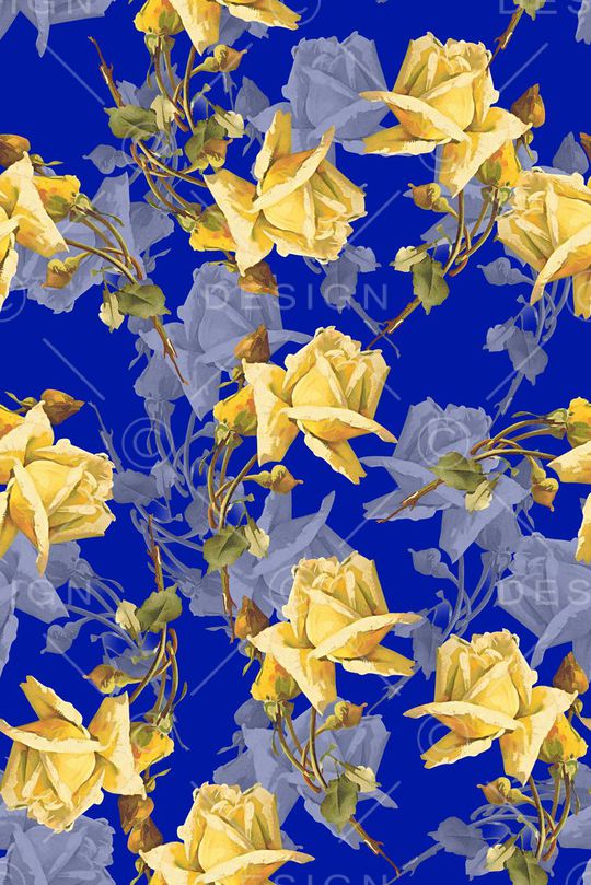 黄蔷薇印花华亿平台图片